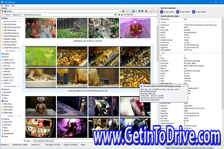 3delite Video File Browser 1.0.22.28 Free