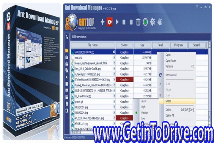 Ant Download Manager Pro 2.10.1.84865 Free