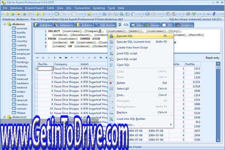 SQLite Expert Professional 5.4.42.587 Free