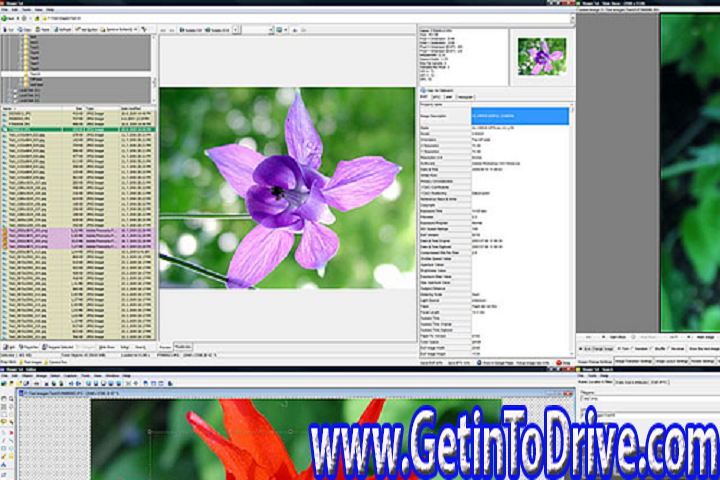 WildBit Viewer 6.9 Free