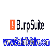 Burp Suite Professional 2020.12.1 Free